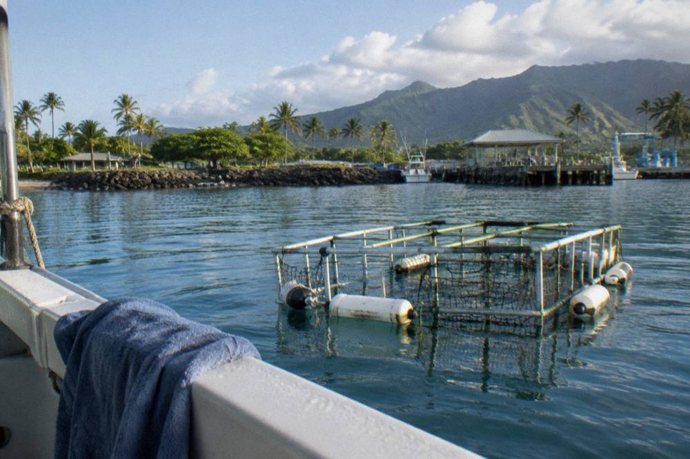 Steel shark cage viewed from the deck of a boat in calm open ocean