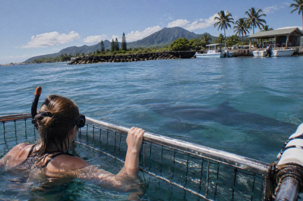 Snorkeler inside a surface shark cage watching a shark pass by in clear water