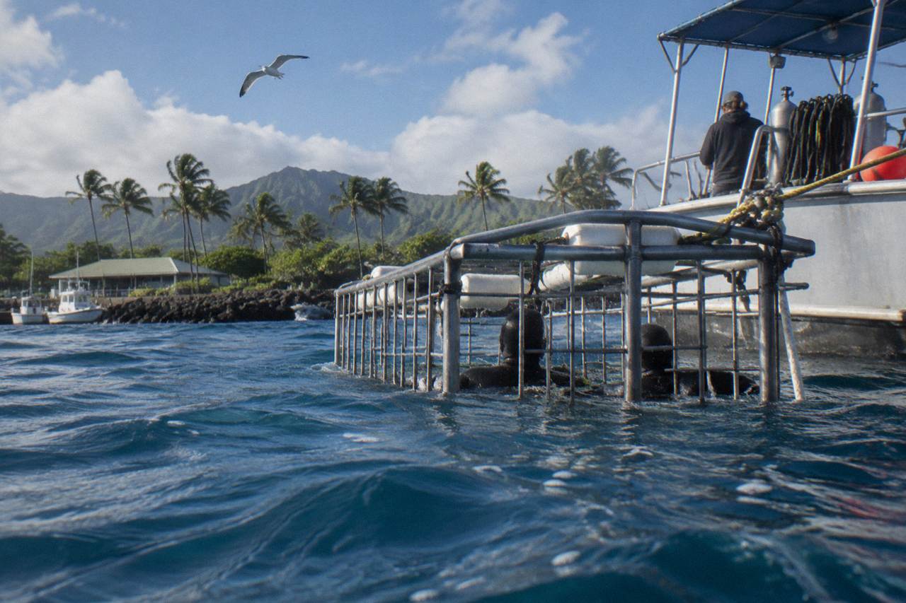 A shark cage floating in deep blue water near a dive boat off the Oahu coast