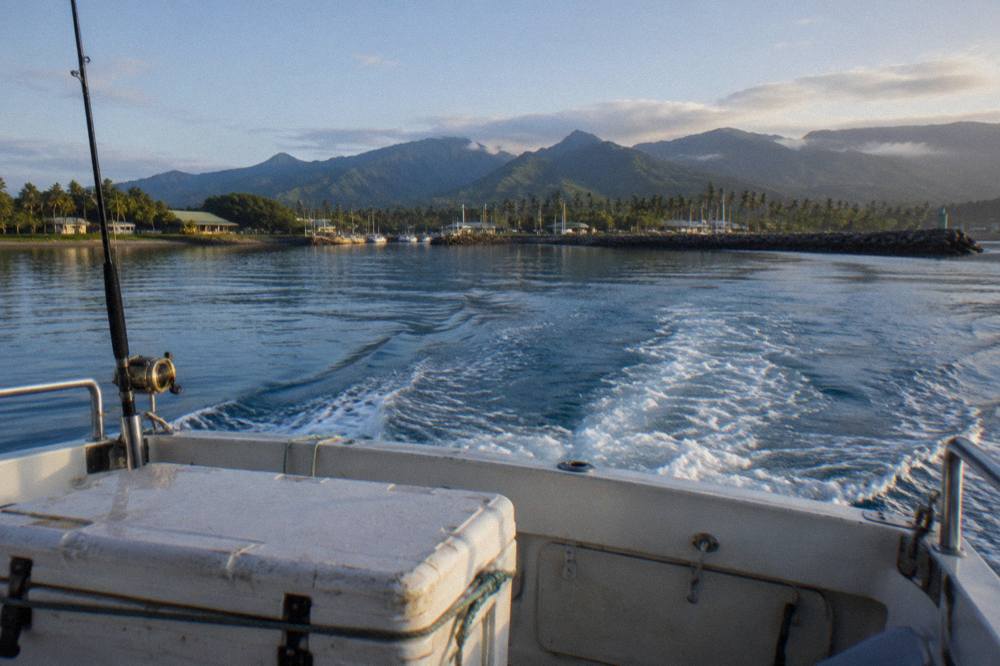 A boat crossing calm blue water toward an offshore shark diving site