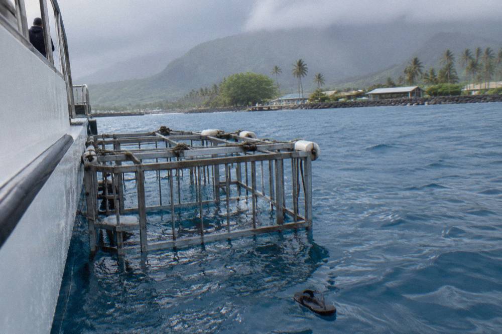 A steel shark cage floating beside a boat in open blue ocean