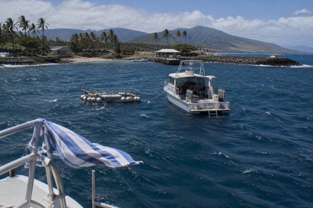 A dive boat anchored over deep open ocean with a floating shark cage beside it
