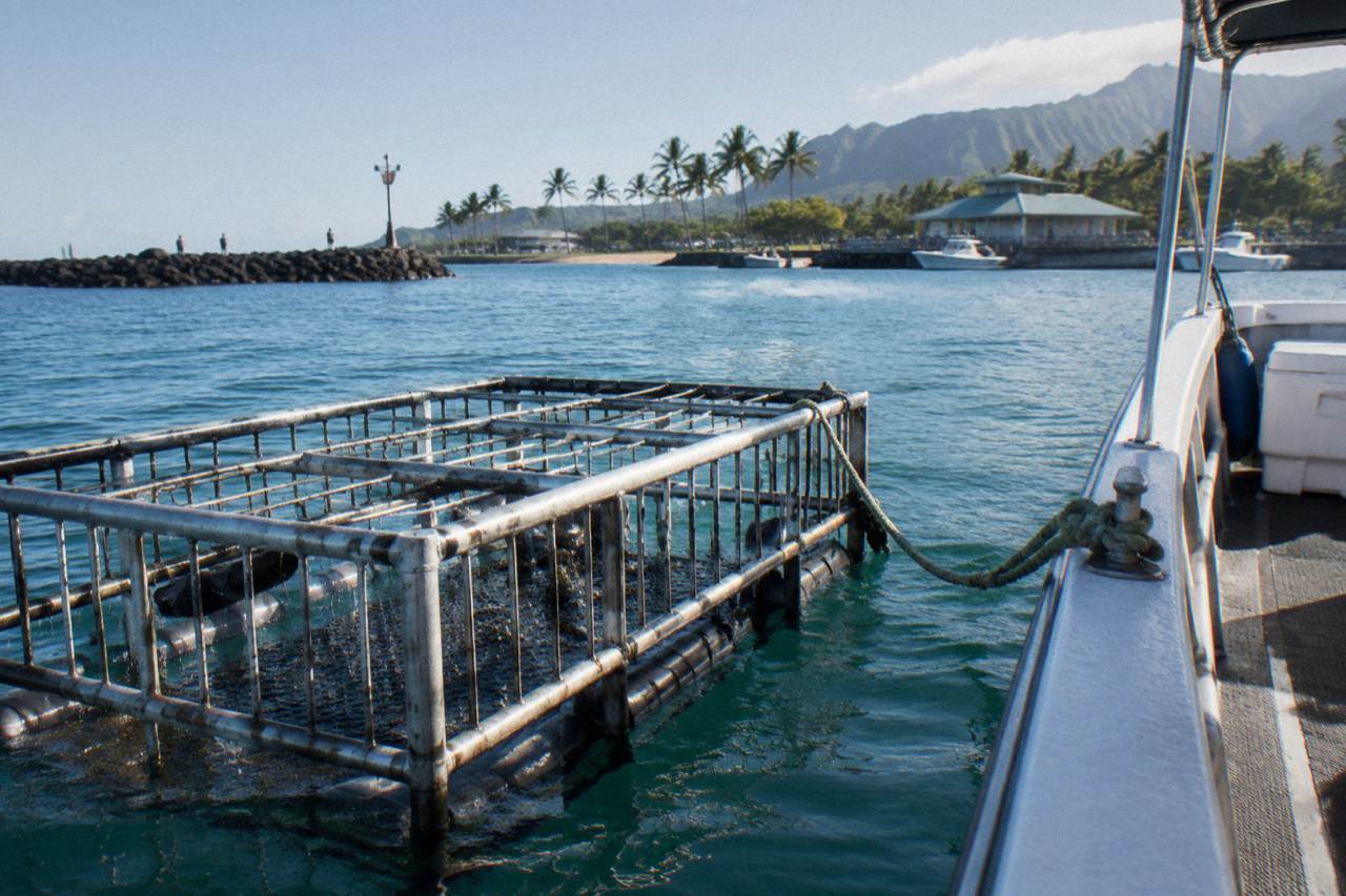 A shark cage floating beside a small boat in deep blue open ocean near the Hawaiian islands