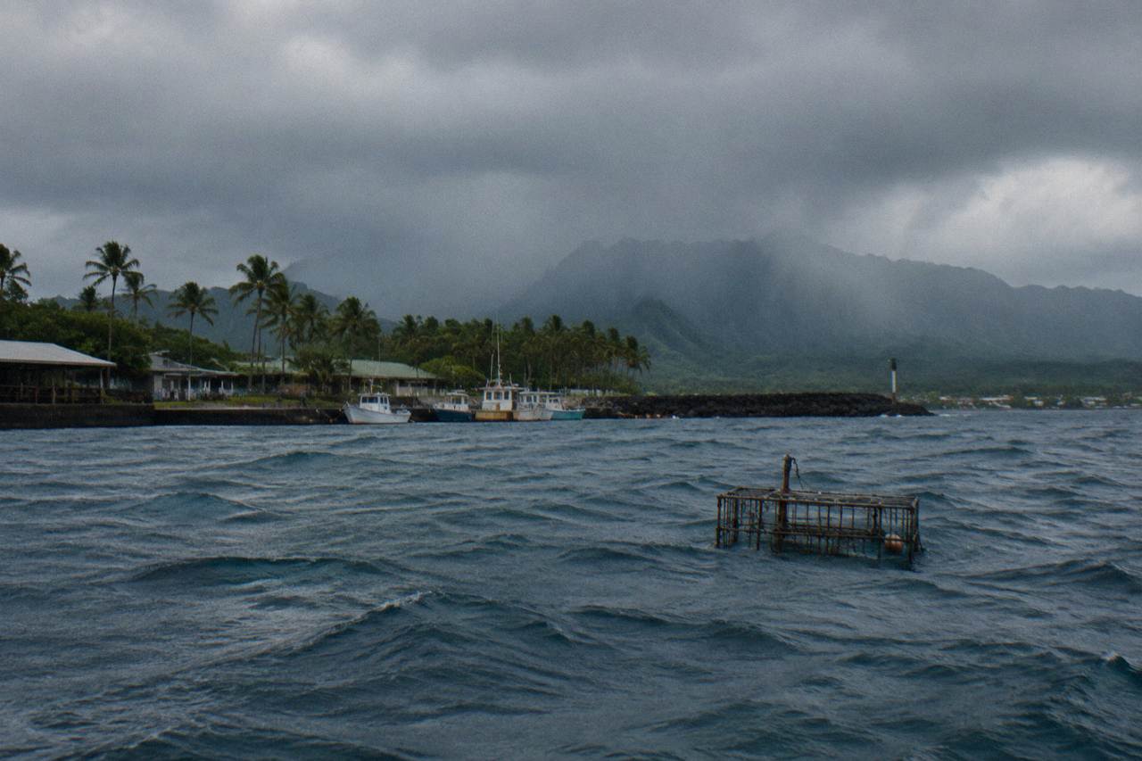 shark cage floating in deep blue water off the north shore of oahu