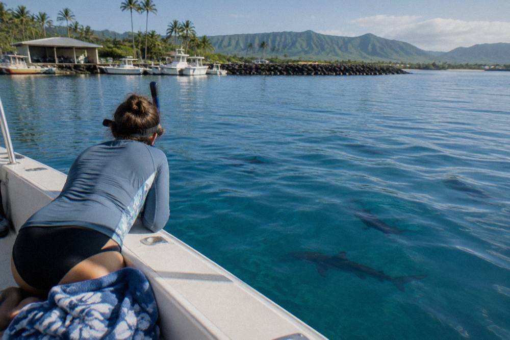 Snorkeler at the ocean surface watching sharks swim below in clear blue open water