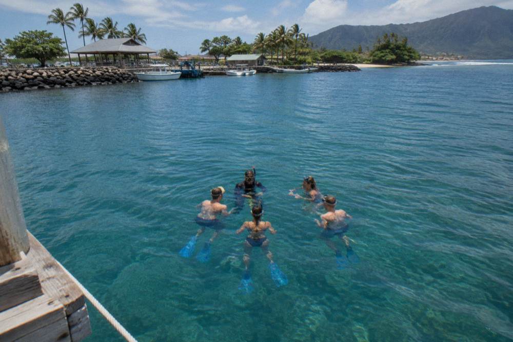 Guide and snorkelers floating together in a tight group on the open ocean surface