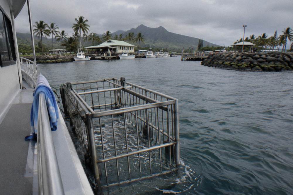 Empty shark cage viewed from a boat deck in open ocean