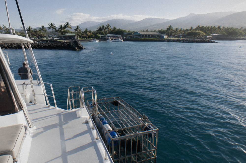 A boat anchored over deep blue water with a floating shark cage beside it