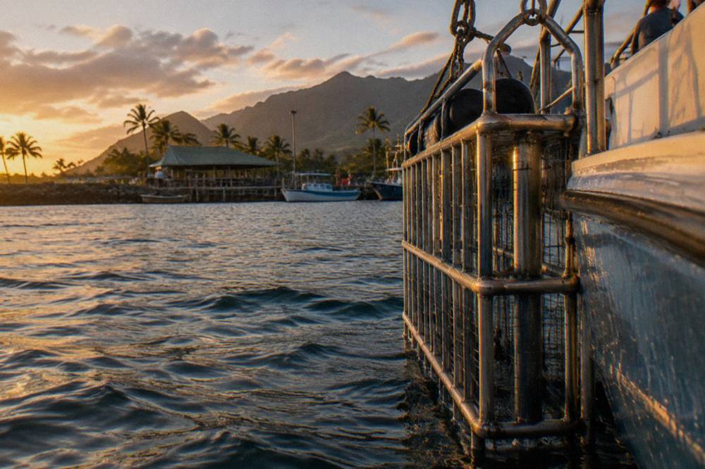 A steel shark cage mounted alongside a dive boat in open water