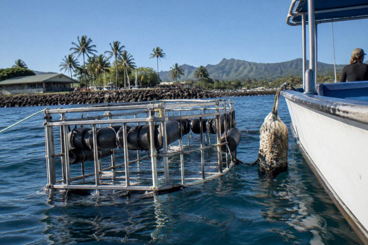 A shark cage floating in deep blue open ocean beside a small boat