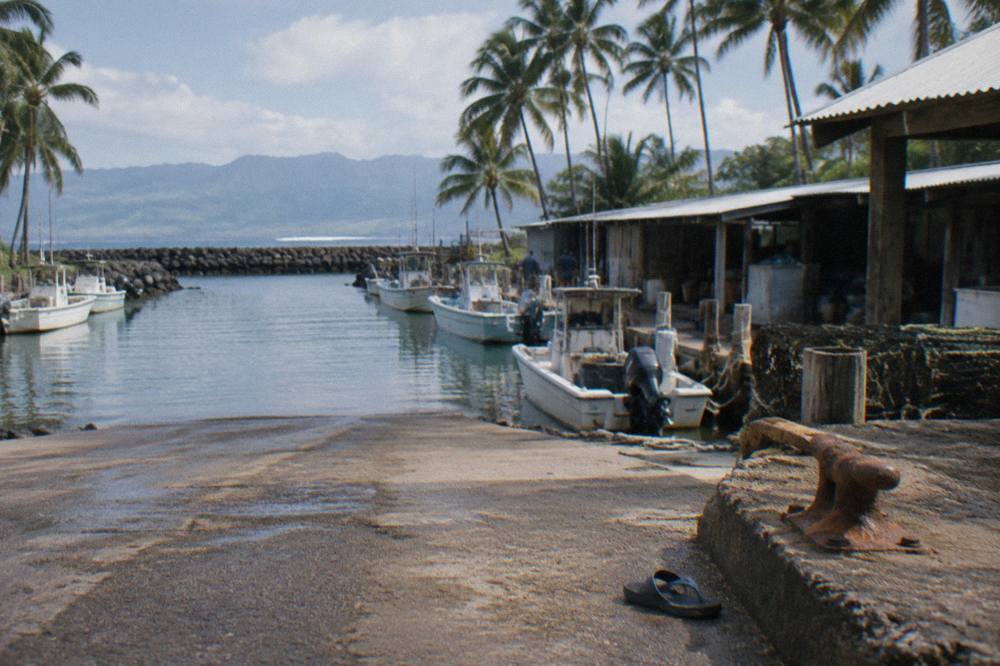 Fishing boats moored at a small boat harbor on Oahu north shore