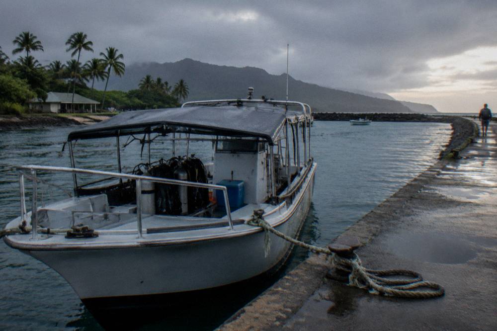 A shark dive boat tied up at the docks of a small boat harbor on Oahu in early morning light