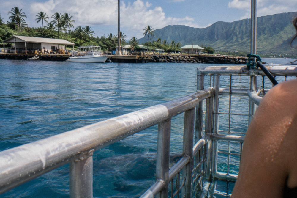 A steel shark cage viewed from the deck of a boat in calm blue water