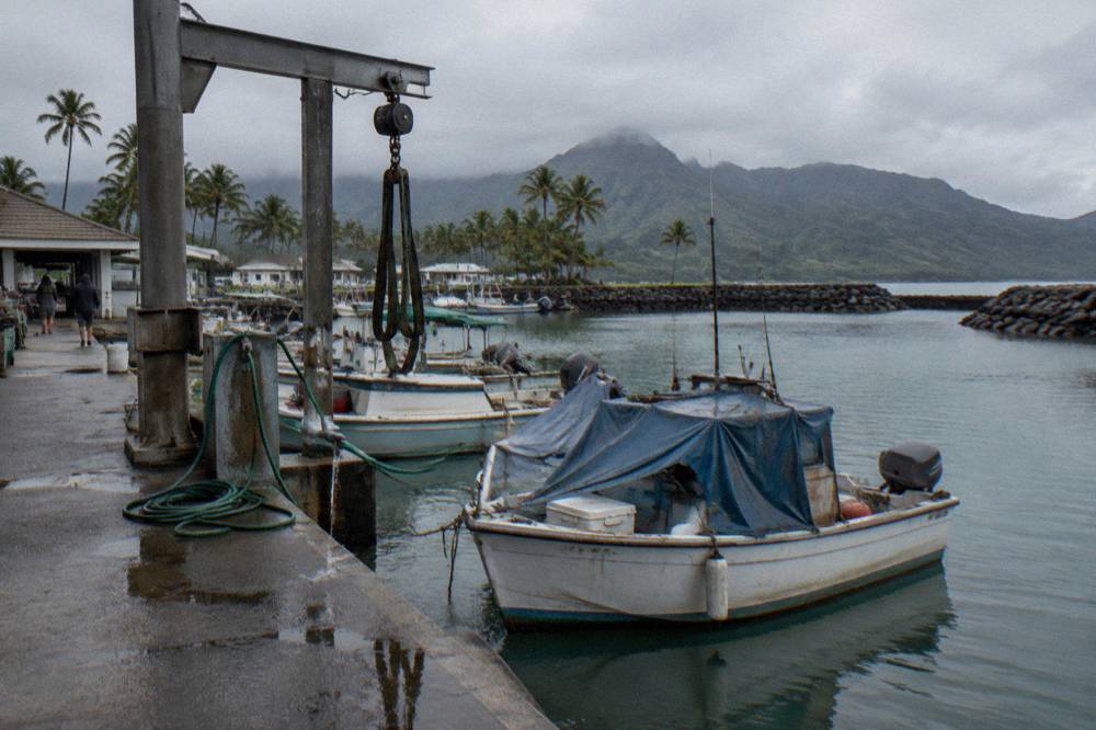 A small boat harbor with moored fishing boats and calm water