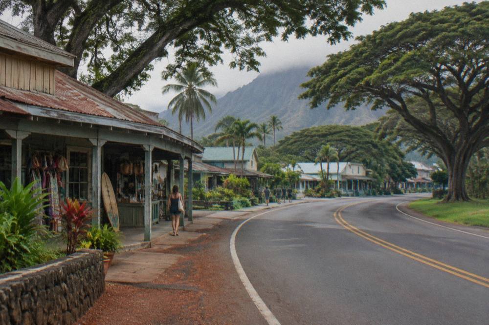 Coastal two-lane road winding past palm trees and green hills on Oahu's North Shore