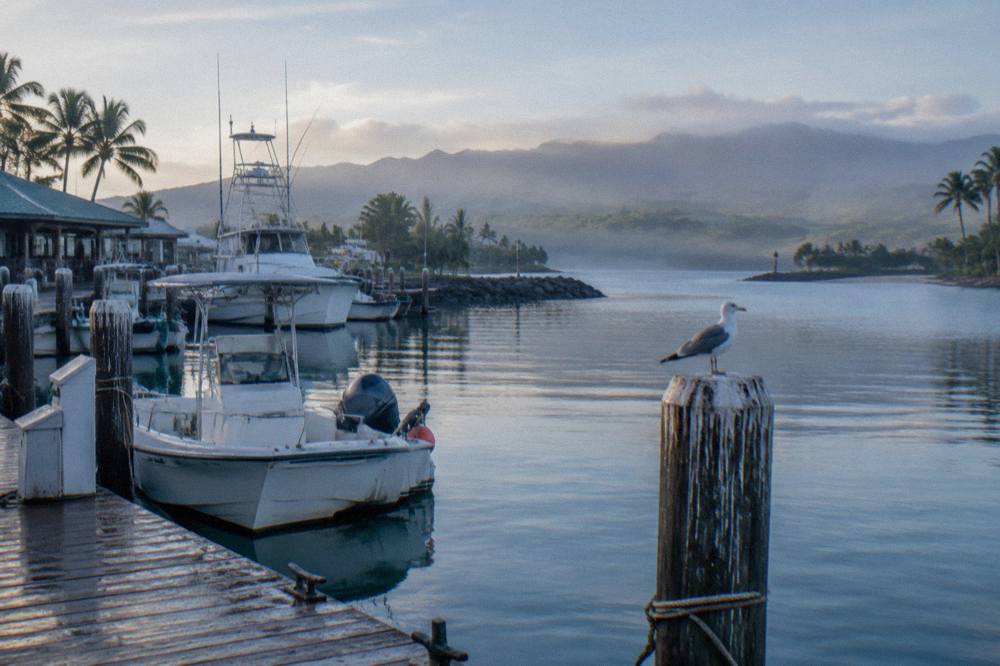 Boats docked at a small harbor with calm water and green coastline in the distance