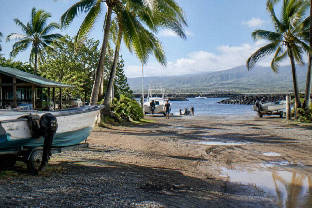 Open parking area beside a harbor with fishing boats and palm trees