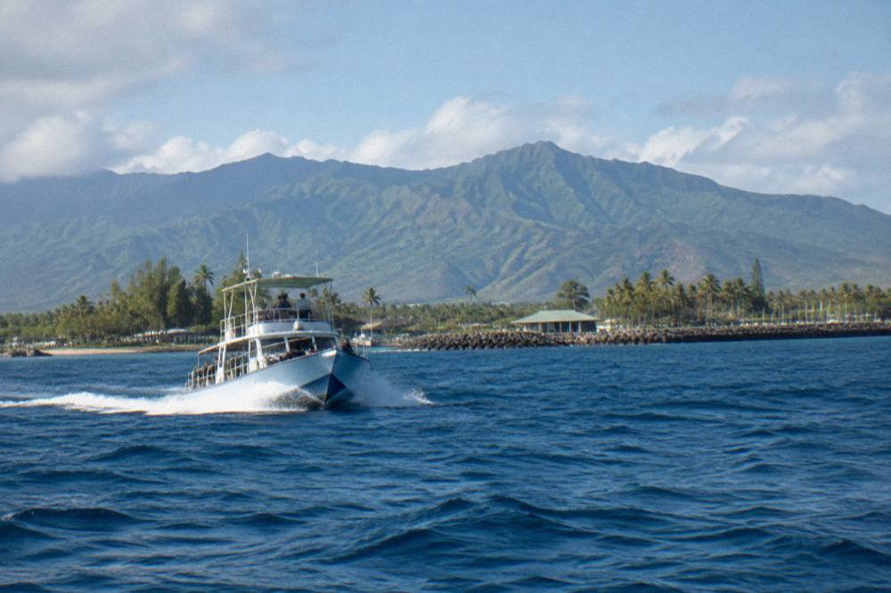 A shark tour boat cruising across open blue water toward an offshore dive site