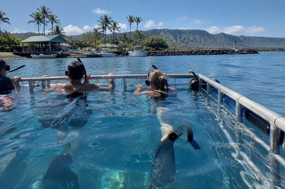Passengers in snorkel gear holding onto a floating cage in clear blue open water