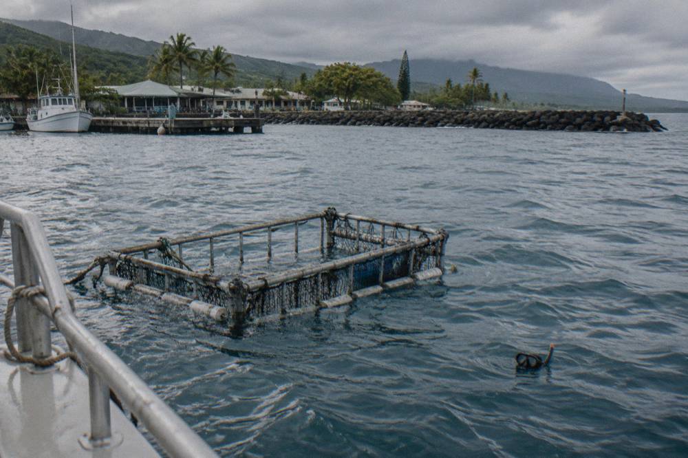 A floating shark cage at the surface in deep blue offshore water
