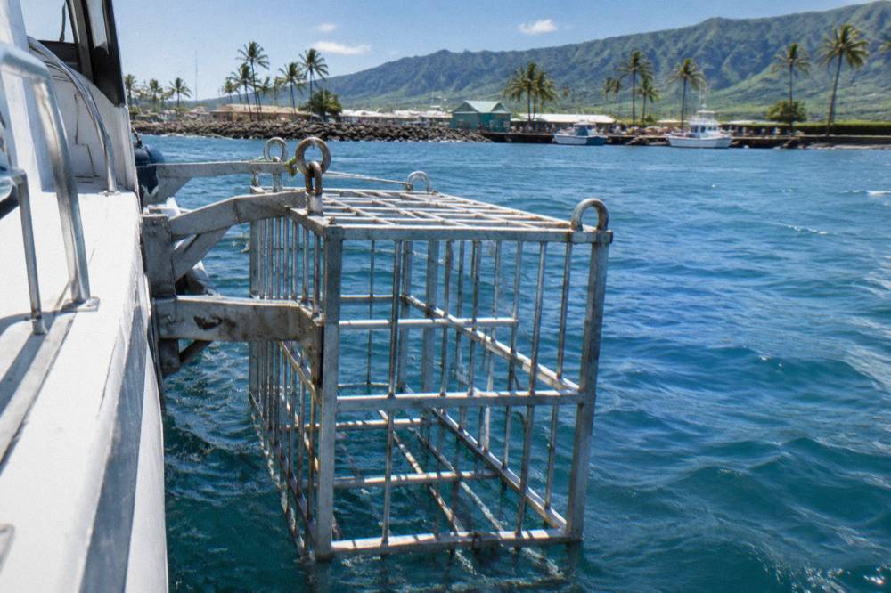 A steel shark cage mounted beside a tour boat in open water