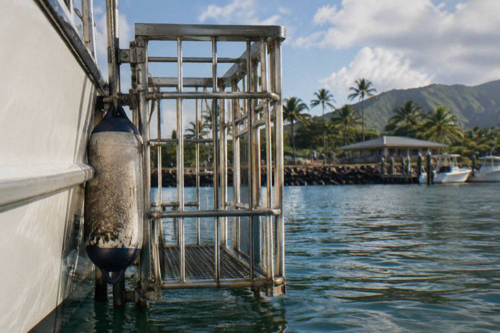 A shark cage secured to the side of a tour boat in calm offshore water
