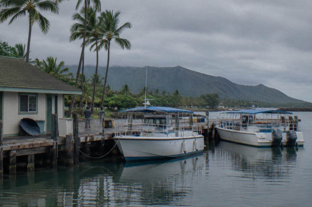Haleiwa Boat Harbor docks with tour boats moored along the pier