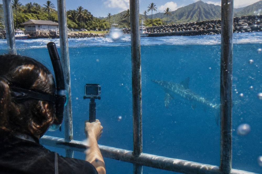 A snorkeler holding a GoPro on a short pole inside a shark cage surrounded by blue water