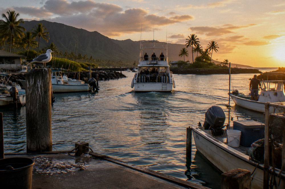 A shark cage boat returning to Haleiwa Boat Harbor at the end of a tour