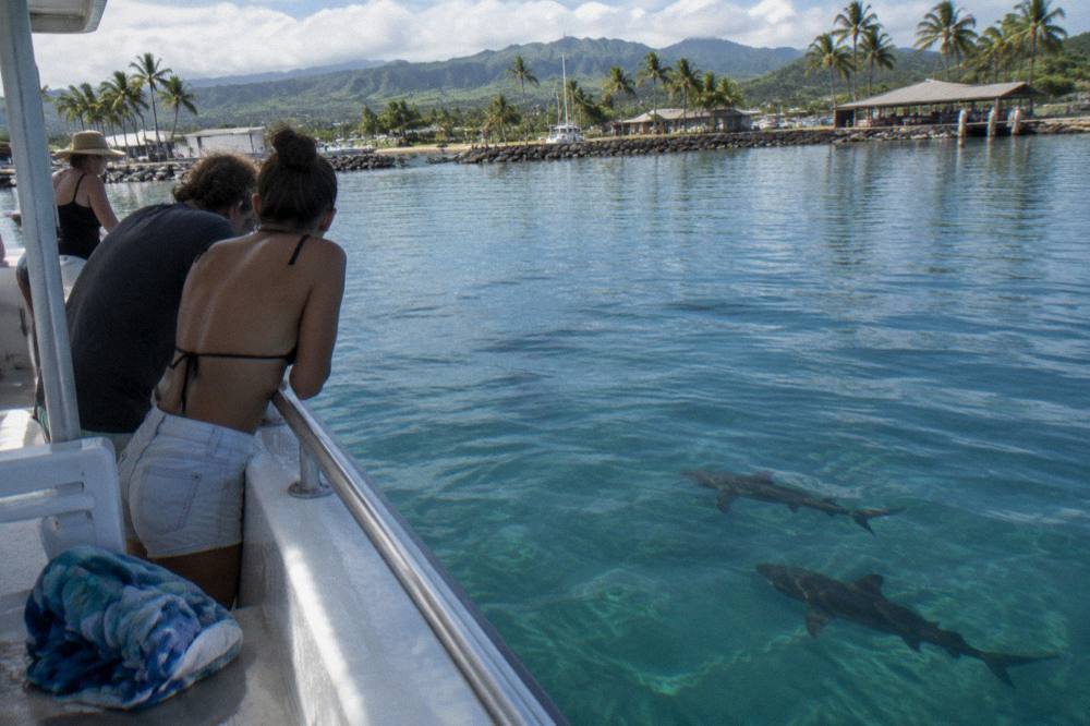 Passengers on a boat deck looking down at clear blue ocean water after a dive