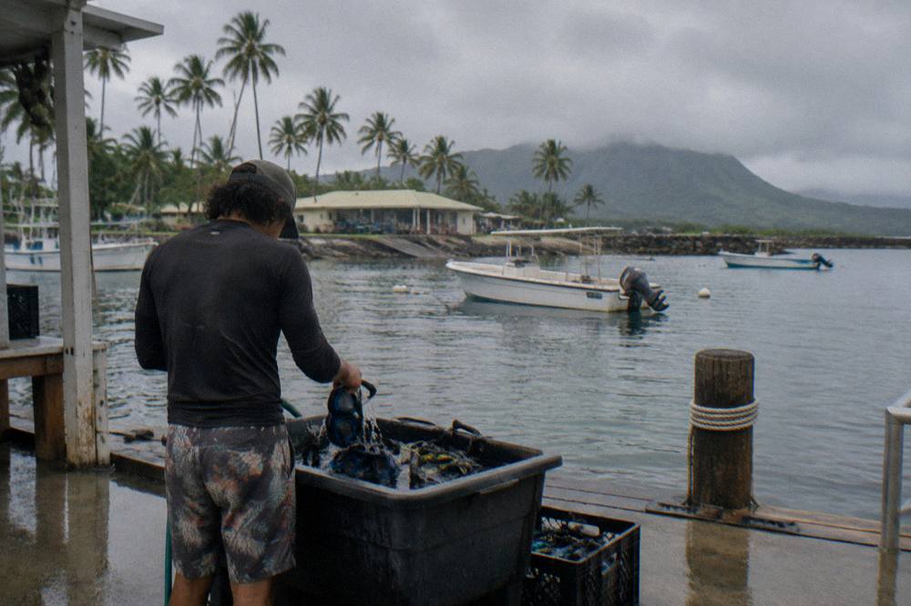 Tour crew preparing snorkel gear on the deck of a shark dive boat